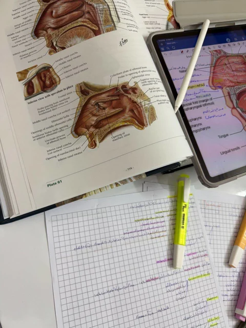 برگه‌ شطرنجی