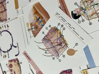پک فلش‌کارت آناتومی یازدهم - ویژه کنکور ۱۴۰۶