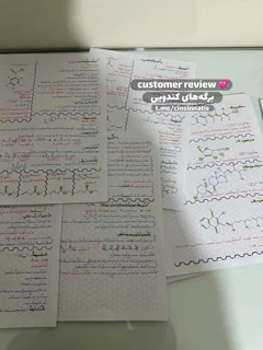 برگه کندویی